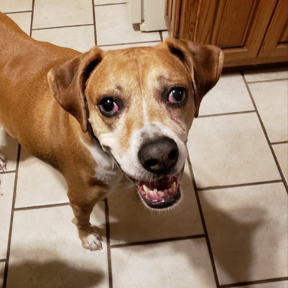 Meet Your Posher! - Picture 3 of 4